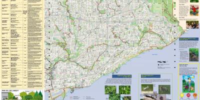 Kartta puistoja ja kävelyreittejä Itä-Toronto